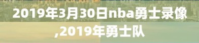 2019年3月30日nba勇士录像,2019年勇士队