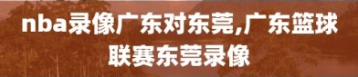 nba录像广东对东莞,广东篮球联赛东莞录像