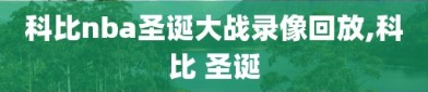 科比nba圣诞大战录像回放,科比 圣诞