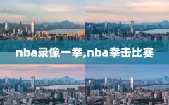 nba录像一拳,nba拳击比赛