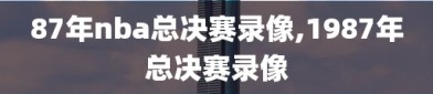 87年nba总决赛录像,1987年总决赛录像