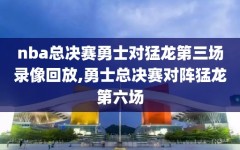 nba总决赛勇士对猛龙第三场录像回放,勇士总决赛对阵猛龙第六场