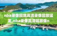 nba录像回放高清录像回放猛龙,nba录像高清回放像n