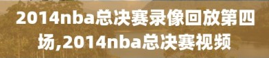 2014nba总决赛录像回放第四场,2014nba总决赛视频