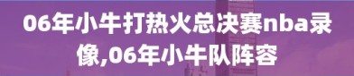 06年小牛打热火总决赛nba录像,06年小牛队阵容