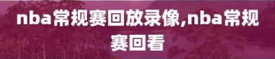 nba常规赛回放录像,nba常规赛回看