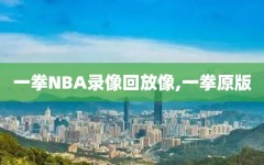 一拳NBA录像回放像,一拳原版