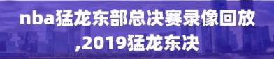 nba猛龙东部总决赛录像回放,2019猛龙东决