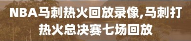 NBA马刺热火回放录像,马刺打热火总决赛七场回放