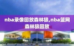 nba录像回放森林狼,nba篮网森林狼回放