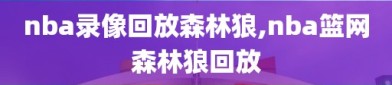 nba录像回放森林狼,nba篮网森林狼回放