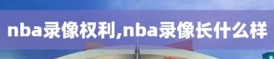 nba录像权利,nba录像长什么样