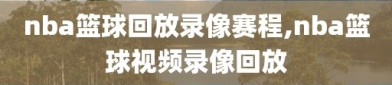 nba篮球回放录像赛程,nba篮球视频录像回放