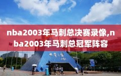 nba2003年马刺总决赛录像,nba2003年马刺总冠军阵容