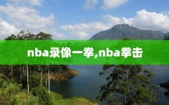 nba录像一拳,nba拳击