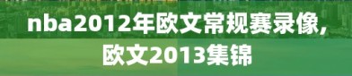 nba2012年欧文常规赛录像,欧文2013集锦