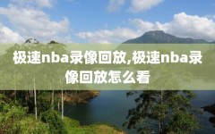 极速nba录像回放,极速nba录像回放怎么看