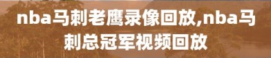 nba马刺老鹰录像回放,nba马刺总冠军视频回放