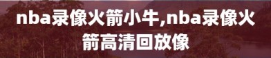 nba录像火箭小牛,nba录像火箭高清回放像