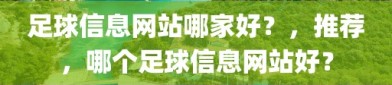 足球信息网站哪家好？，推荐，哪个足球信息网站好？