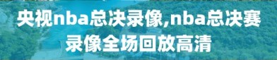 央视nba总决录像,nba总决赛录像全场回放高清