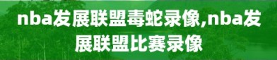 nba发展联盟毒蛇录像,nba发展联盟比赛录像