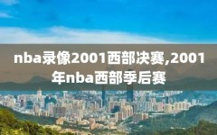 nba录像2001西部决赛,2001年nba西部季后赛