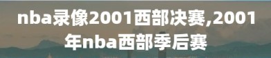 nba录像2001西部决赛,2001年nba西部季后赛