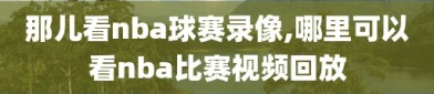 那儿看nba球赛录像,哪里可以看nba比赛视频回放