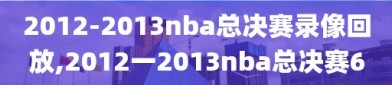 2012-2013nba总决赛录像回放,2012一2013nba总决赛6