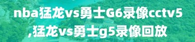 nba猛龙vs勇士G6录像cctv5,猛龙vs勇士g5录像回放