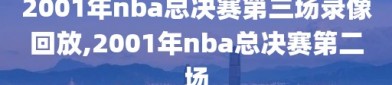 2001年nba总决赛第三场录像回放,2001年nba总决赛第二场