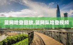 篮网哈登回放,篮网队哈登视频