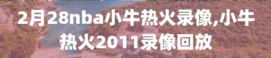 2月28nba小牛热火录像,小牛热火2011录像回放