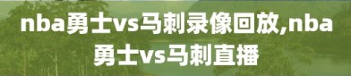 nba勇士vs马刺录像回放,nba勇士vs马刺直播