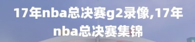 17年nba总决赛g2录像,17年nba总决赛集锦