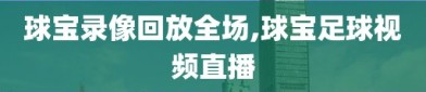 球宝录像回放全场,球宝足球视频直播