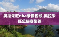 奥拉朱旺nba录像视频,奥拉朱旺总决赛集锦