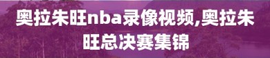 奥拉朱旺nba录像视频,奥拉朱旺总决赛集锦