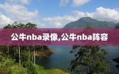 公牛nba录像,公牛nba阵容