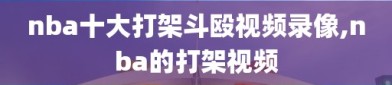 nba十大打架斗殴视频录像,nba的打架视频
