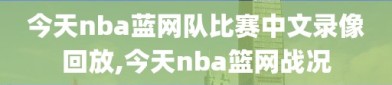 今天nba蓝网队比赛中文录像回放,今天nba篮网战况