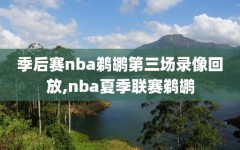 季后赛nba鹈鹕第三场录像回放,nba夏季联赛鹈鹕