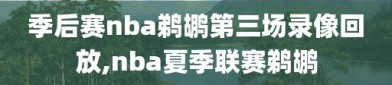 季后赛nba鹈鹕第三场录像回放,nba夏季联赛鹈鹕