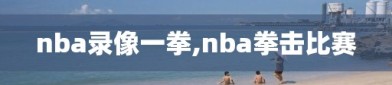 nba录像一拳,nba拳击比赛