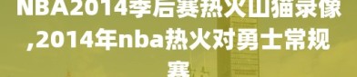 NBA2014季后赛热火山猫录像,2014年nba热火对勇士常规赛