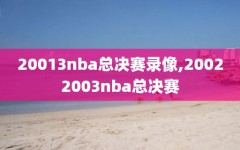 20013nba总决赛录像,20022003nba总决赛