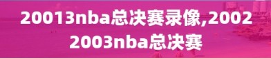 20013nba总决赛录像,20022003nba总决赛