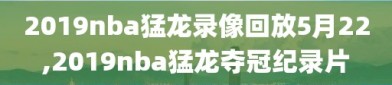 2019nba猛龙录像回放5月22,2019nba猛龙夺冠纪录片