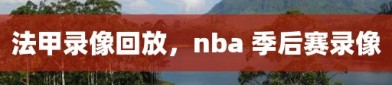 法甲录像回放，nba 季后赛录像